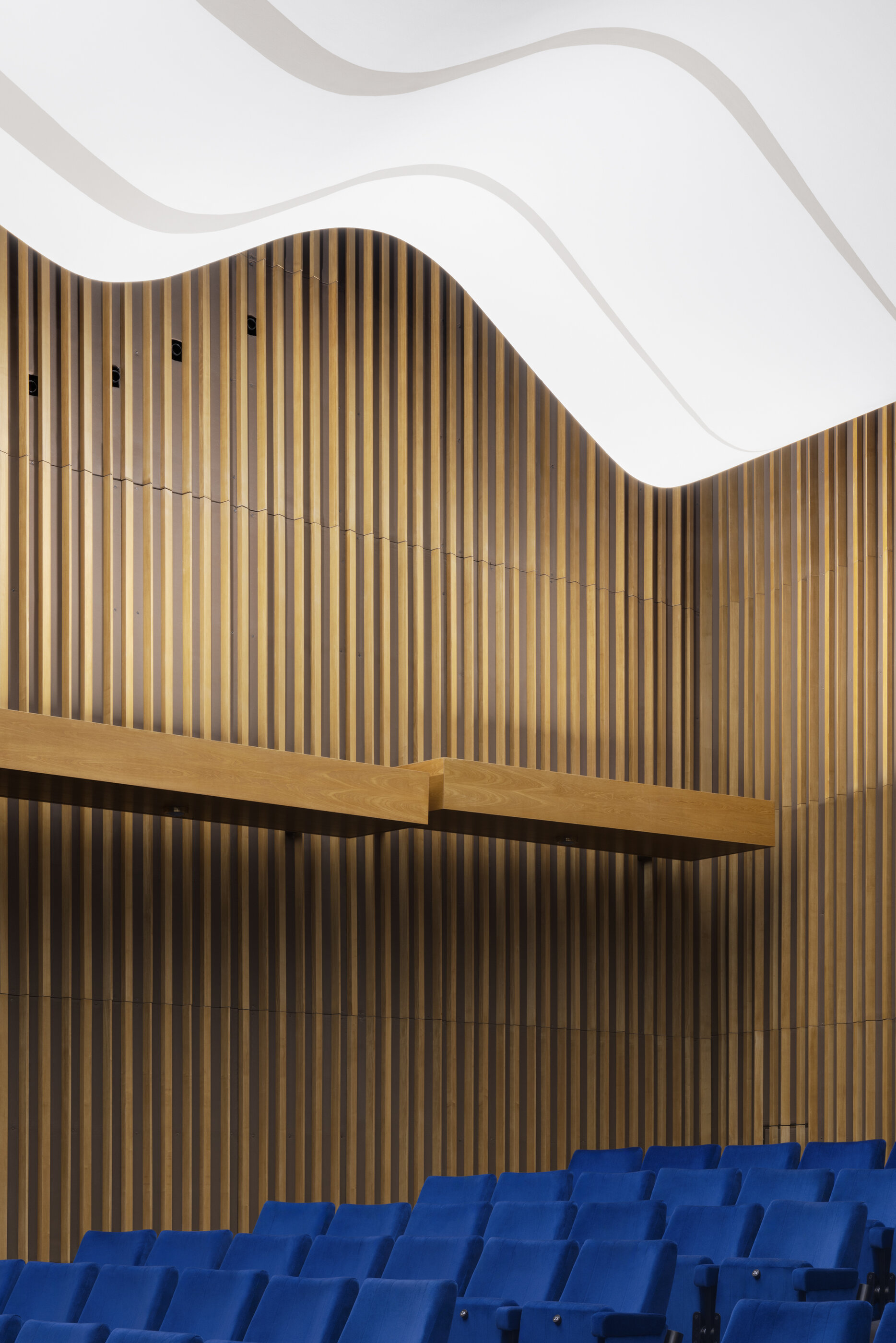 Detail of the auditorium wall panelling
